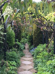 Rough winds do shake the darling buds of May: Alternative potting shed thread