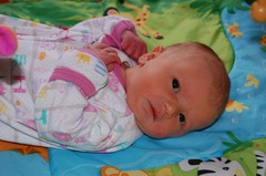 June 2013: Here come the terrible twos!