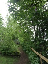 Help, what can I do with this rock face/weed bed?