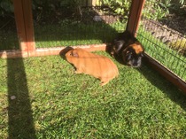 Tiptoe quietly this way .......