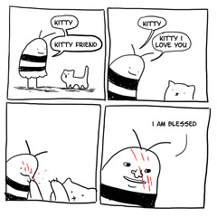 to wonder what's with all the vicious cat threads this week?