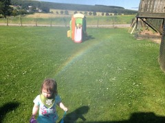 Week 3 - May Low Carb Bootcamp - you've survived the first fortnight!