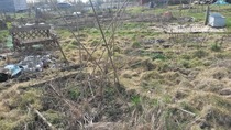 The 2015 Allotment / Veg Patch Thread Part 2