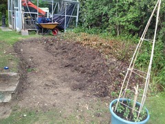 Can I have some advice please - we are looking to make a vegetable garden in our back garden.