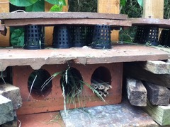 A photo of our bug house, as requested!