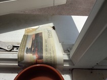 Aibu to be proud i remembered mn advice and feed a hungry bee
