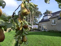Relocating from Northumberland and our beautiful house is available