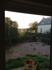 Week 3 - May Low Carb Bootcamp - you've survived the first fortnight!