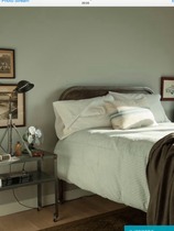 Blue/Blue-green paint for living room. The colour I want doesn't exist!