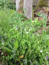 "In the spring, at the end of the day, you should smell like dirt."  This month's discussion in the potting shed.