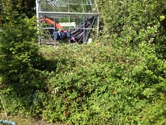 I've just had a fight with the garden and lost :(