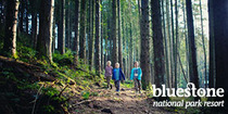 WIN 1 of 40 breaks at Bluestone National Park Resort!