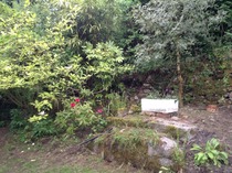 Help, what can I do with this rock face/weed bed?