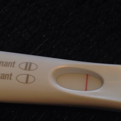 Sod the elections we want erections! We're hoping our miroids will deposit their seed in our lady gardens, and we'll all end up growing giblets. Come and join us on our magical new bedsheets, it's Jus