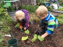 The 2015 Allotment / Veg Patch Thread Part 2