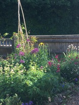 Rough winds do shake the darling buds of May: Alternative potting shed thread