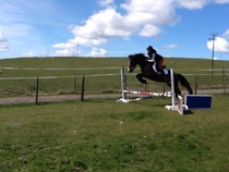 Anyone want a horse to ride in Rossendale?