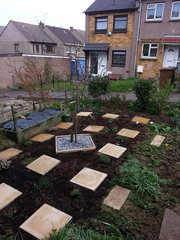 The 2015 Allotment / Veg Patch Thread Part 2