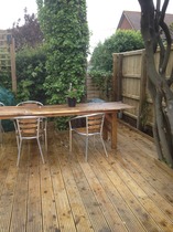 Rough winds do shake the darling buds of May: Alternative potting shed thread