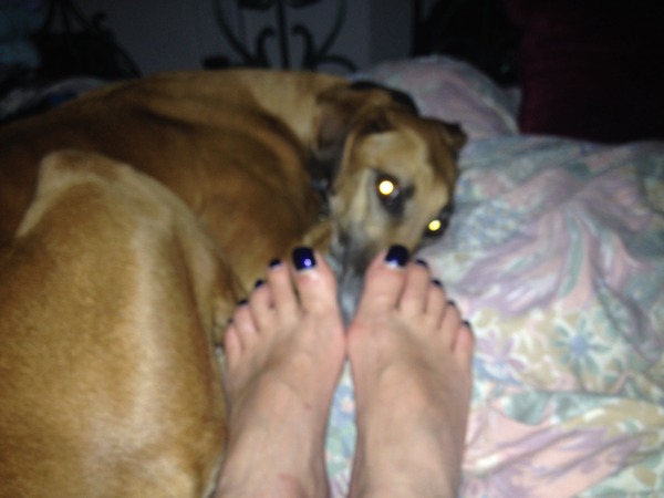 The Brave Babes Battle Bus - Shaping Up For A Super, Sober Summer!