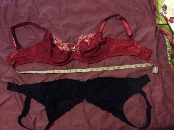 To be really irritated when someone insists that the Bra Guru method of measuring is wrong?