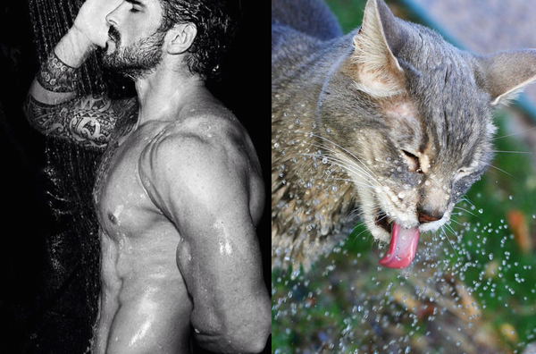 Swagger Inn: Thread 99 - European Wenches Unite in Filth and Debauchery