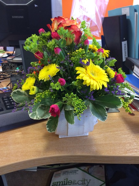 Recurrent Miscarriage Support Thread 26 - tests, treatment and trying again