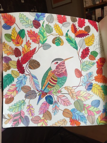 Adult colouring in books