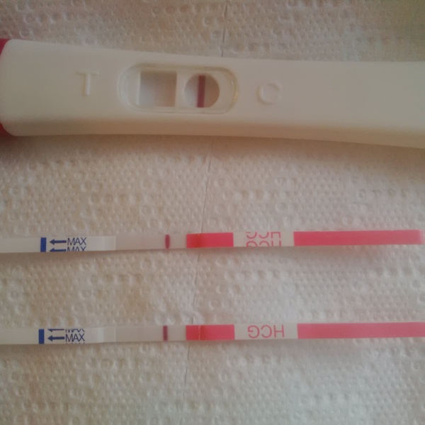 TTC after MC#6 - the lucky one for all of us!