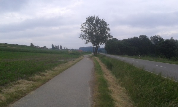 Cyclists  riding two or three abreast down country lanes.