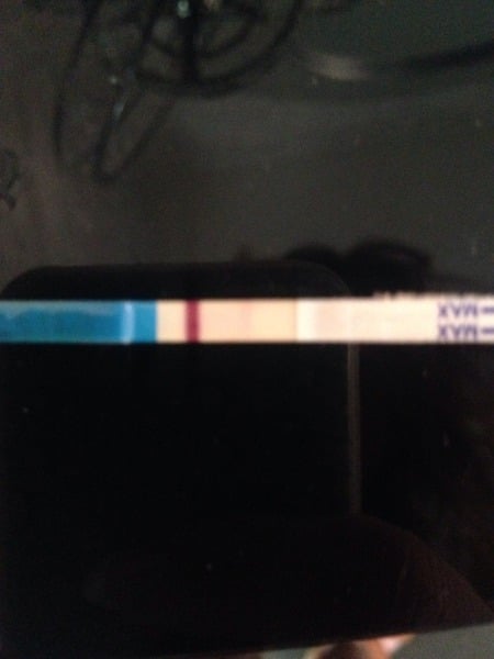 TTC after MC#6 - the lucky one for all of us!