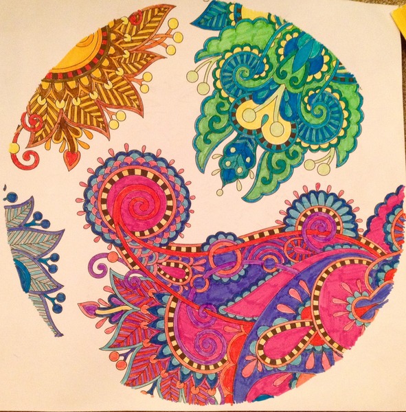 Adult colouring in books