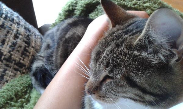 Avoiding accidental golden showers and unsolicited bump touching while enjoying the gamble of the poo-lottery and apparently getting more massive by the day - JSer grads 31!