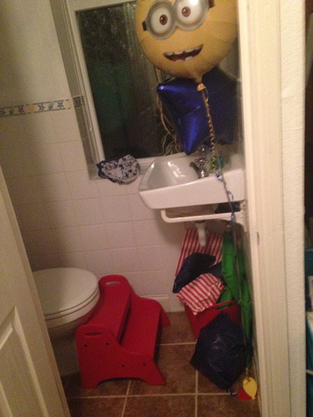 Won't use the potty/loo when out of the house