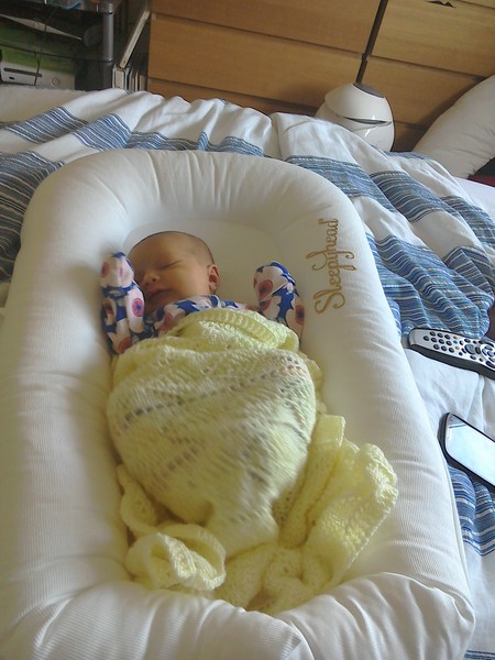 May 2015: Still early but babies already arriving!