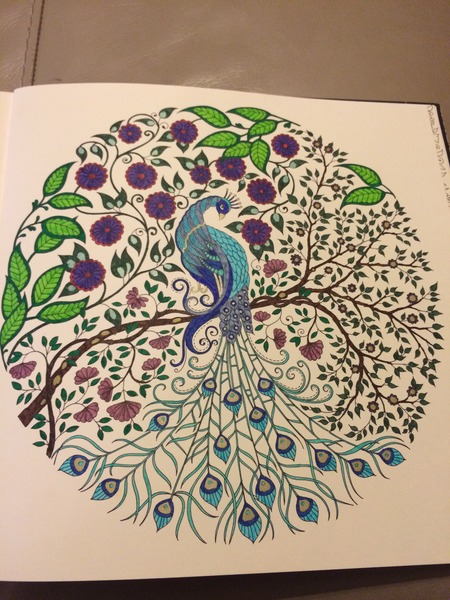 Adult colouring in books