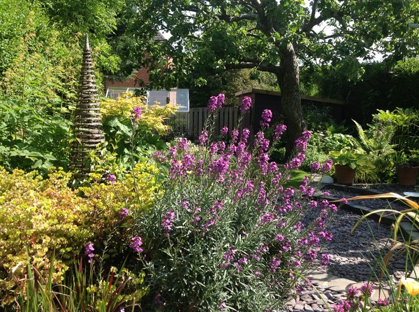 Getting hung up on which direction garden faces.