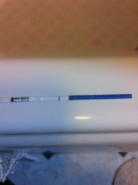 We may be rude, some call us crude, but noone can deny, when times get tough or you're feeling rough, on the Viroids you can rely.Among the laughs this bunch of dafts will pick you up each time -JS 48