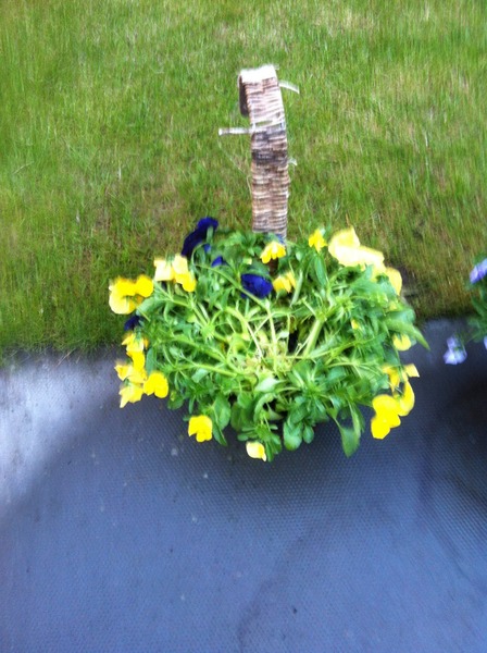 What's happened to my flowers?