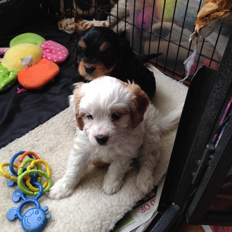 Bumsnet- you would be amazed at where we stick our thermometers to help us get our BFP's