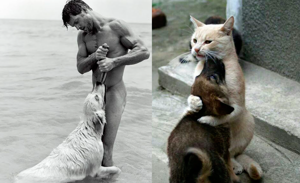 Swagger Inn: Thread 98 - Keep Wenching, How Else Do We Know We're Truly Alive?