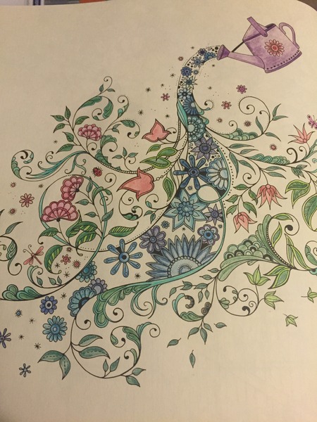 Adult colouring in books