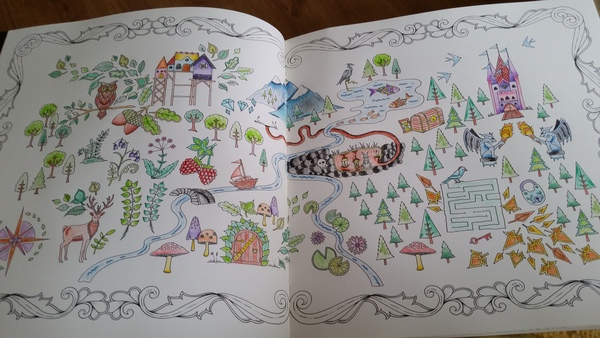 Adult colouring in books