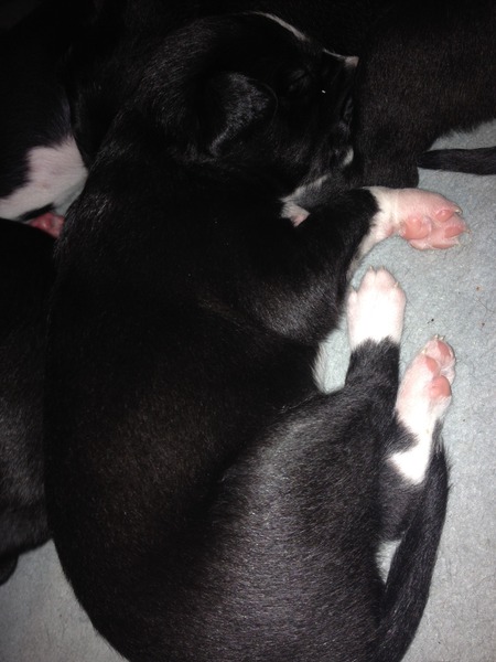 Bumsnet- you would be amazed at where we stick our thermometers to help us get our BFP's