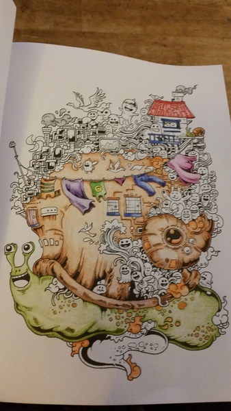 Adult colouring in books