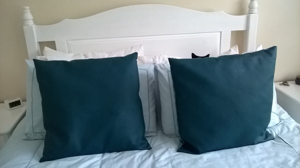 I can't find my cat anywhere (lighthearted)