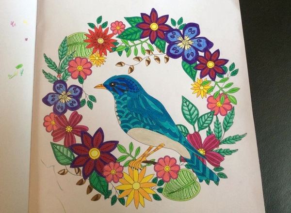 Adult colouring in books