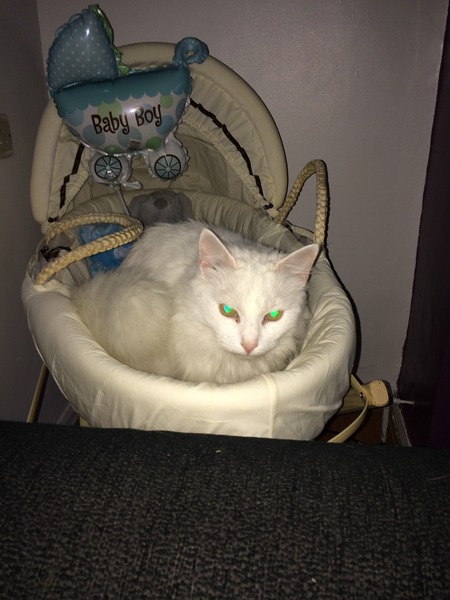 July 2015 (thread 10) - the one where the bumps are huge, feet become unreachable and nesting seriously kicks in.