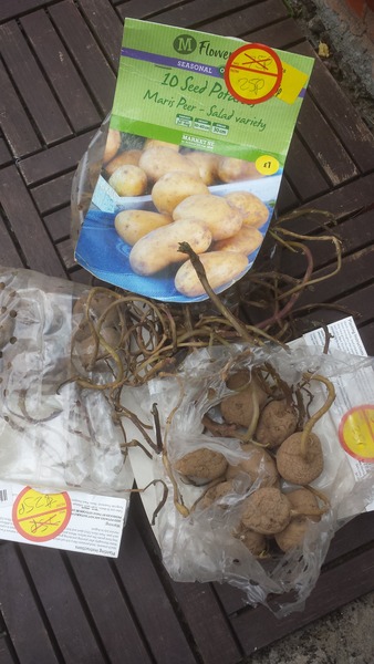 The 2015 Allotment / Veg Patch Thread Part 3 already!
