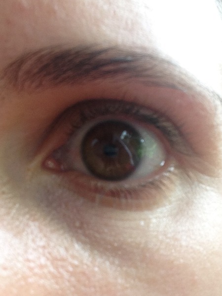 Eyebrows.... opinions please (includes pics)
